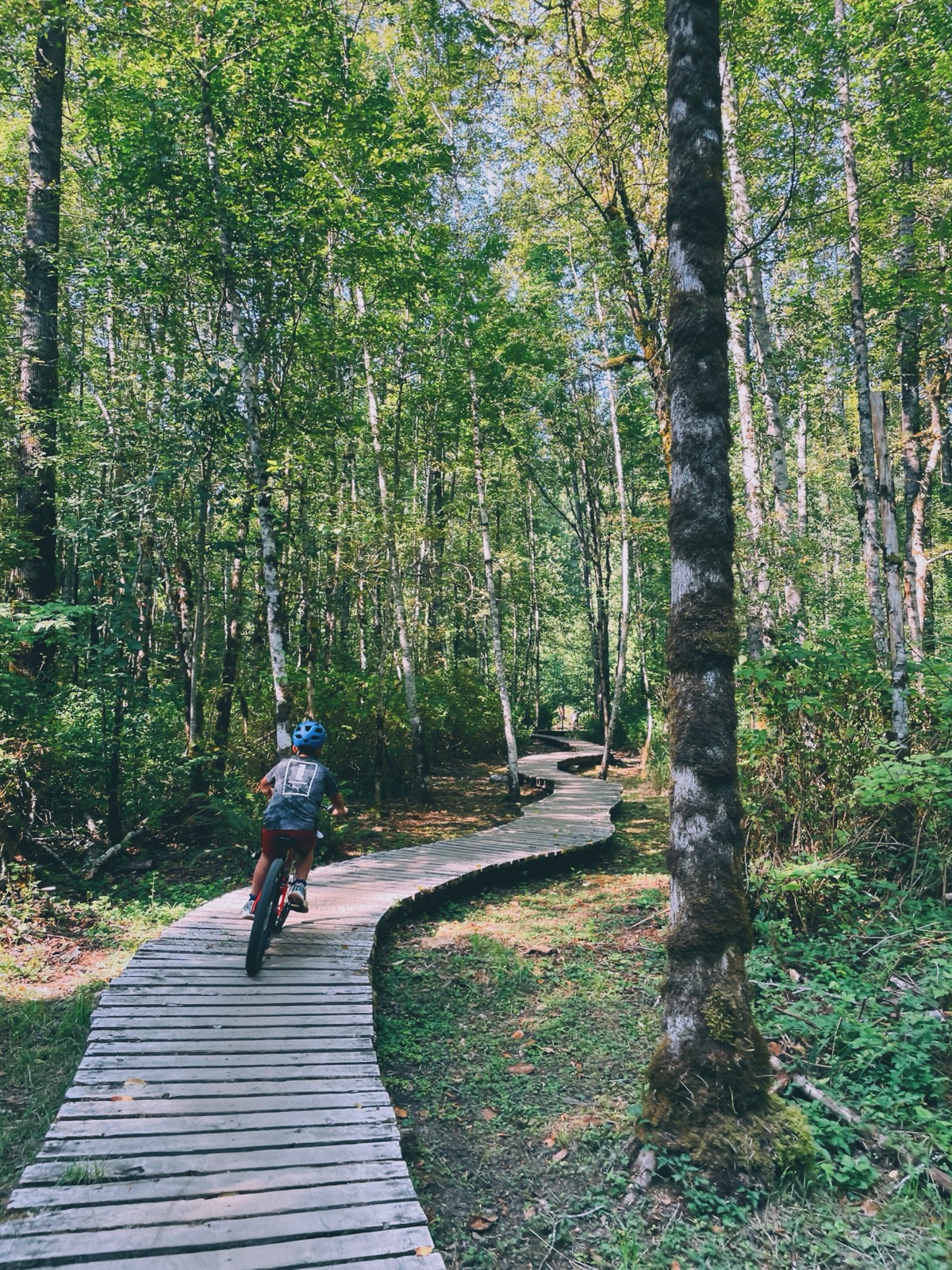 A kid biking a winding boardwalk through the woods